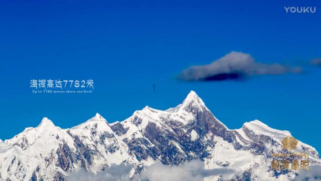 蛋糕物语