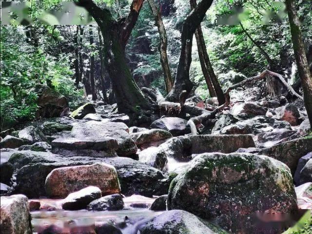 小猫钓鱼游戏龙王版有船