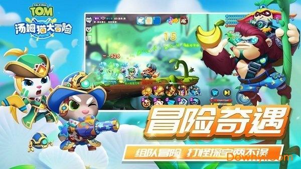细胞分裂6